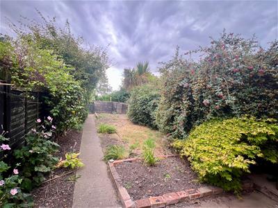 Picture 17